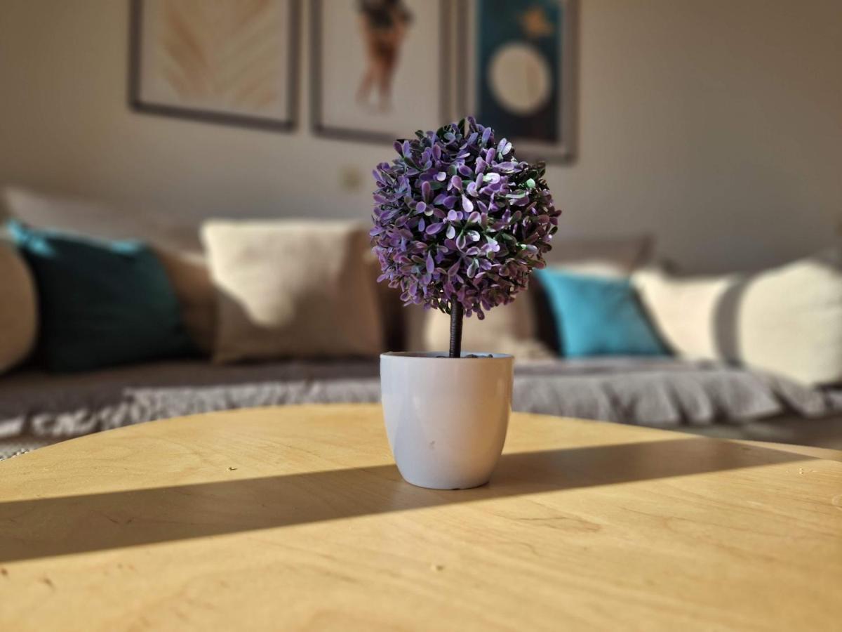 City Apartment Sanja Makarska Eksteriør billede